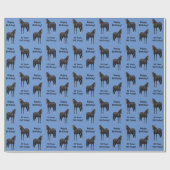 Papier Cadeau Beau Stallion Cheval du Quartier Noir (Plat)