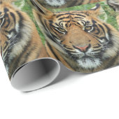 Papier Cadeau Beau tigre (Coin rond)