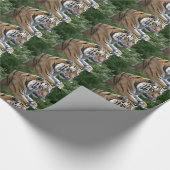 Papier Cadeau Beau Tigre Laissant Son Nez (Coin)