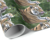 Papier Cadeau Beau Tigre Laissant Son Nez (Coin rond)