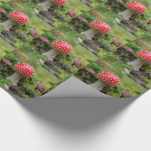 Papier Cadeau Beauté d'automne (Coin)