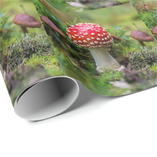 Papier Cadeau Beauté d'automne (Coin rond)