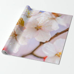 Papier Cadeau Beauté Incroyable Des Fleurs Sakura
