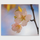 Papier Cadeau Beauté Incroyable Des Fleurs Sakura (Plat)