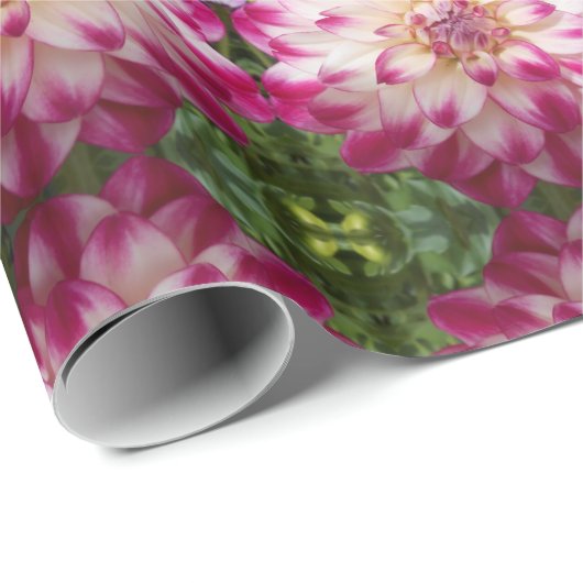 Papier Cadeau Beaux (Coin rond)