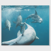 Papier Cadeau Beaux dauphins mignons (Plat)