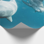 Papier Cadeau Beaux dauphins mignons (Coin)