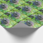 Papier Cadeau Bébé Cèdre cire Oiseau Nature Personnalisée (Coin)