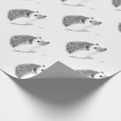 Papier Cadeau Bébé hérisson animal (Coin)