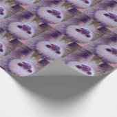 Papier Cadeau Bébé Sloth (Coin)