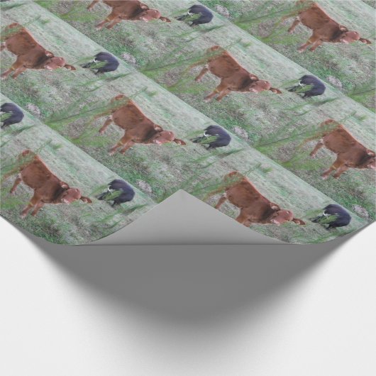 Papier Cadeau Bébé vache Brown. (Coin)