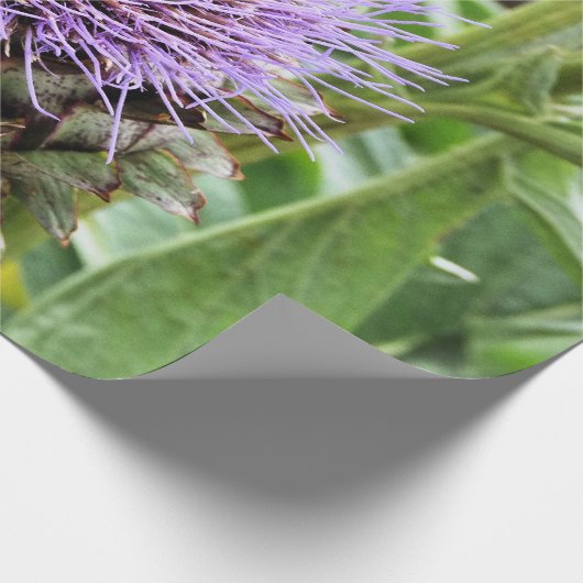 PAPIER CADEAU BEE (Coin)