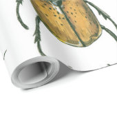 Papier Cadeau Beetles (Coin rond)