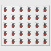 Papier Cadeau Beetles Insectes Ladybug Beetles (Plat)