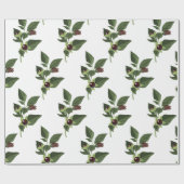 Papier Cadeau Belladone (Plat)