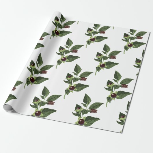 Papier Cadeau Belladone (Déroulé)