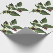 Papier Cadeau Belladone (Coin)