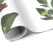 Papier Cadeau Belladone (Coin rond)