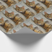 Papier Cadeau Belle Chat Bengale (Coin)
