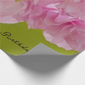 Papier Cadeau Belle coloration (Coin)