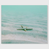 Papier Cadeau Belle Etoile de Mer (Plat)