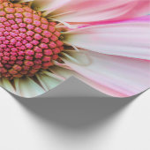 Papier Cadeau Belle Fleur rose Gros plan Photo (Coin)