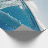 Papier Cadeau Belle Grosse Baleine (Coin)