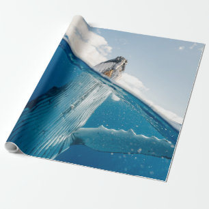 Papier Cadeau Belle Grosse Baleine