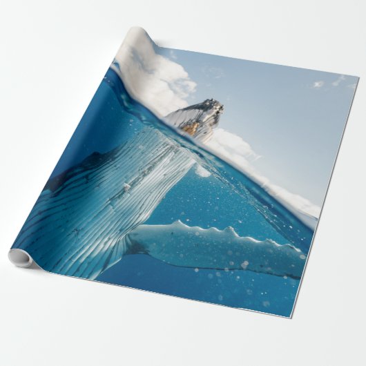 Papier Cadeau Belle Grosse Baleine (Déroulé)