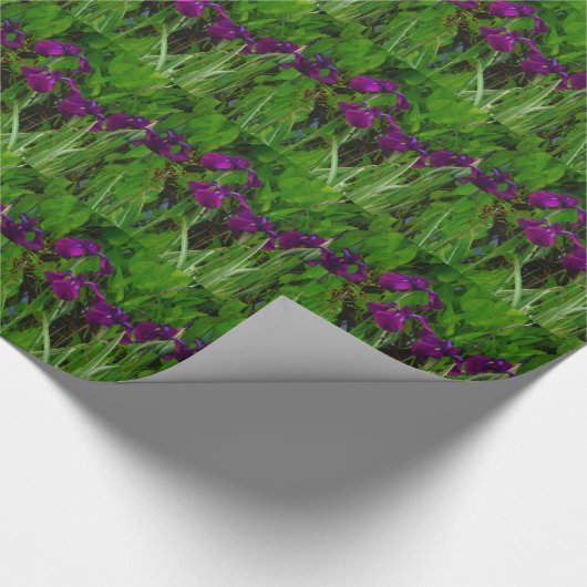 Papier Cadeau Belle Iris Violet (Coin)