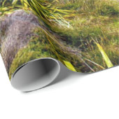 Papier Cadeau Belle Nouvelle-Zélande (Coin rond)