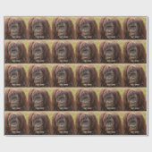 Papier Cadeau Belle photographie de Borneo Orangutan (Plat)