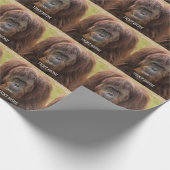 Papier Cadeau Belle photographie de Borneo Orangutan (Coin)