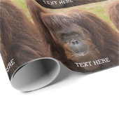 Papier Cadeau Belle photographie de Borneo Orangutan (Coin rond)