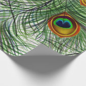 Papier Cadeau Belle plume verte de paon (Coin)