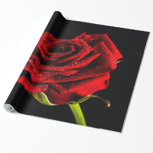 Papier Cadeau Belle rose rouge