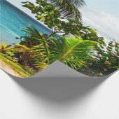 Papier Cadeau Belles Créatures Océaniques (Coin)