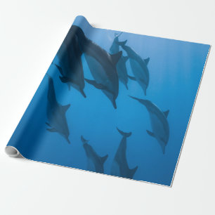 Papier Cadeau Belles Créatures Océaniques
