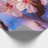 Papier Cadeau Belles fleurs de Sakura (Coin)