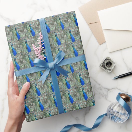 Papier Cadeau Belles plumes de paon bleu (Cadeaux)