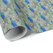 Papier Cadeau Belles plumes de paon bleu (Coin rond)