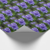 Papier Cadeau Bellfleurs (Coin)