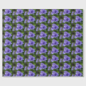 Papier Cadeau Bellfleurs (Plat)
