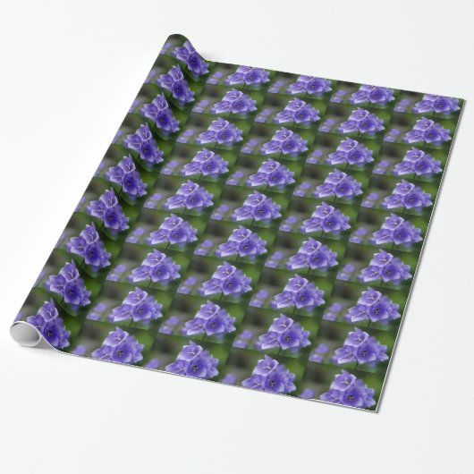 Papier Cadeau Bellfleurs (Déroulé)