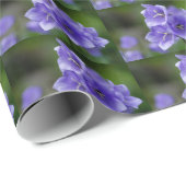 Papier Cadeau Bellfleurs (Coin rond)
