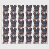 Papier Cadeau Berger Allemand (Plat)