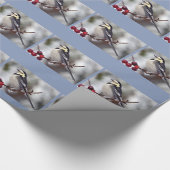 Papier cadeau Bergeronnette grise (Coin)