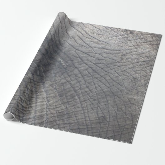 Papier Cadeau Berlin (Déroulé)