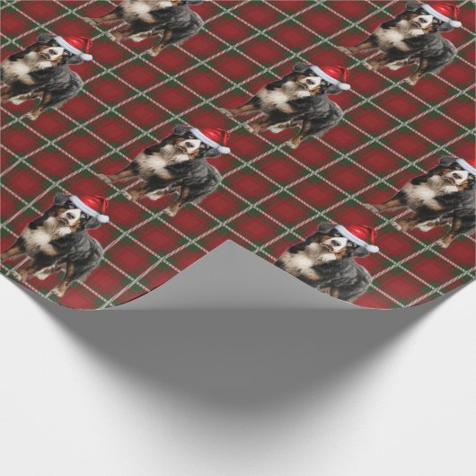 Papier Cadeau Bernese Mountain Dog et Holiday Plaid Christmas (Coin)