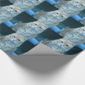 Papier Cadeau Beurre (Coin)